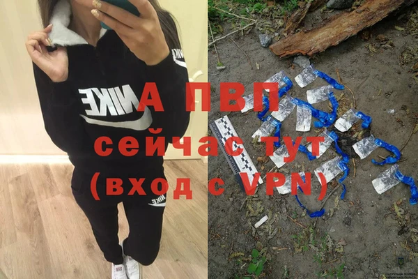 гашик Баксан